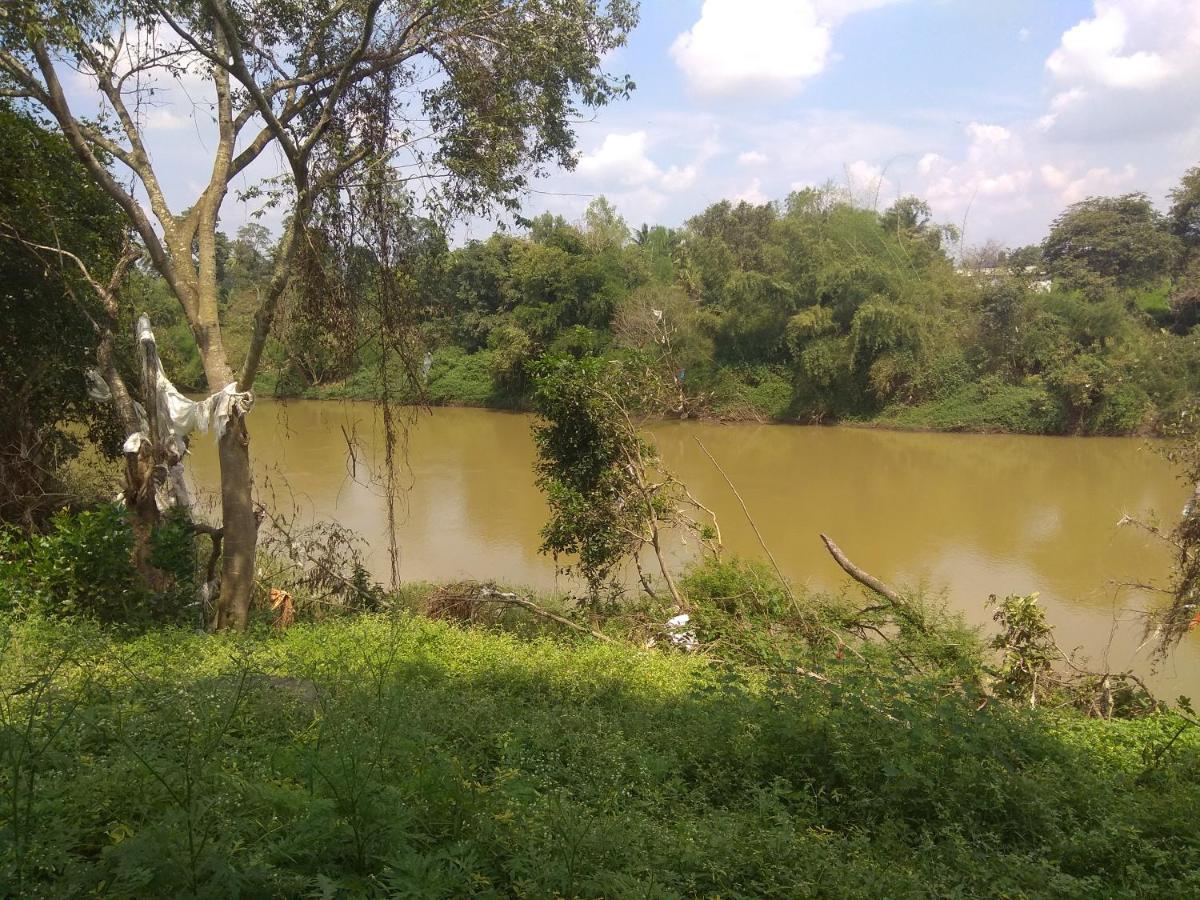 Dreams River View Homestay Coorg Kushalnagar Exterior photo