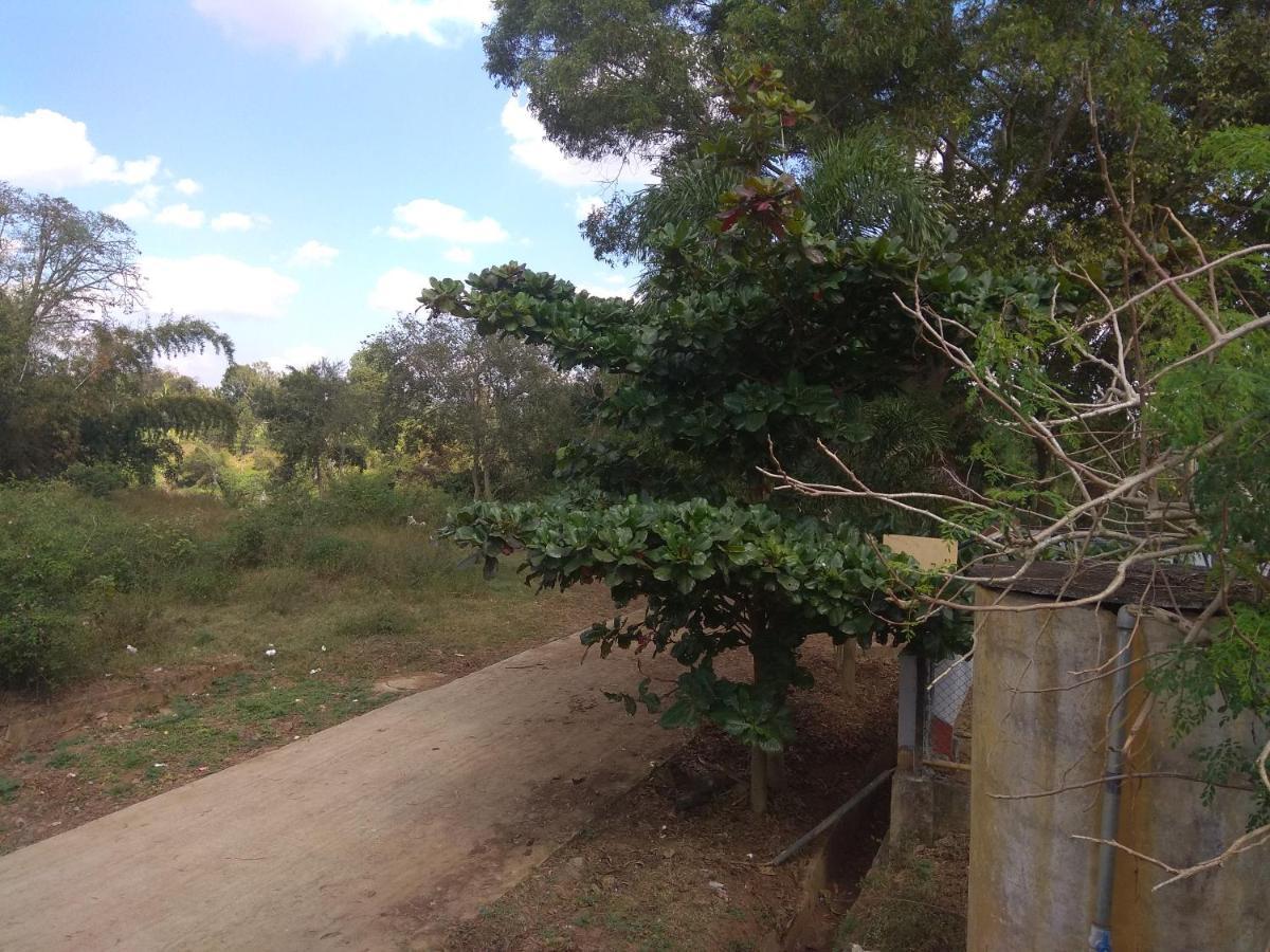 Dreams River View Homestay Coorg Kushalnagar Exterior photo
